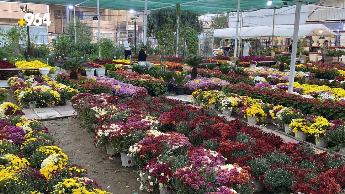 [PHOTOS] Nasiriyah flower exhibition encourages locals to pick up gardening
