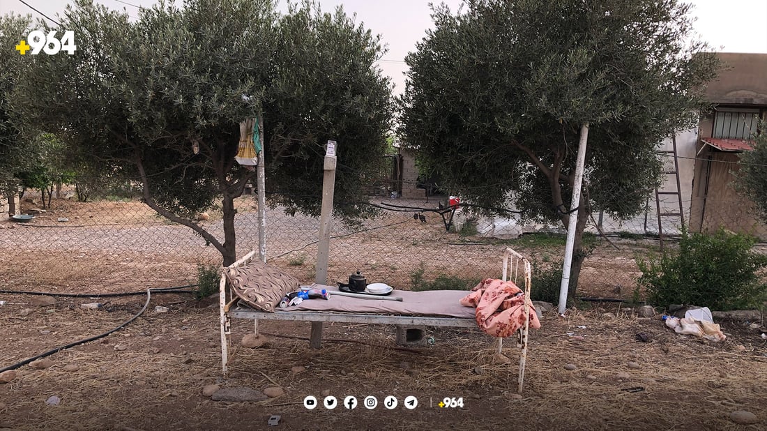 شوانێک سەرووی 150 سەر مەڕی خاوەنەکەی دەدزێت