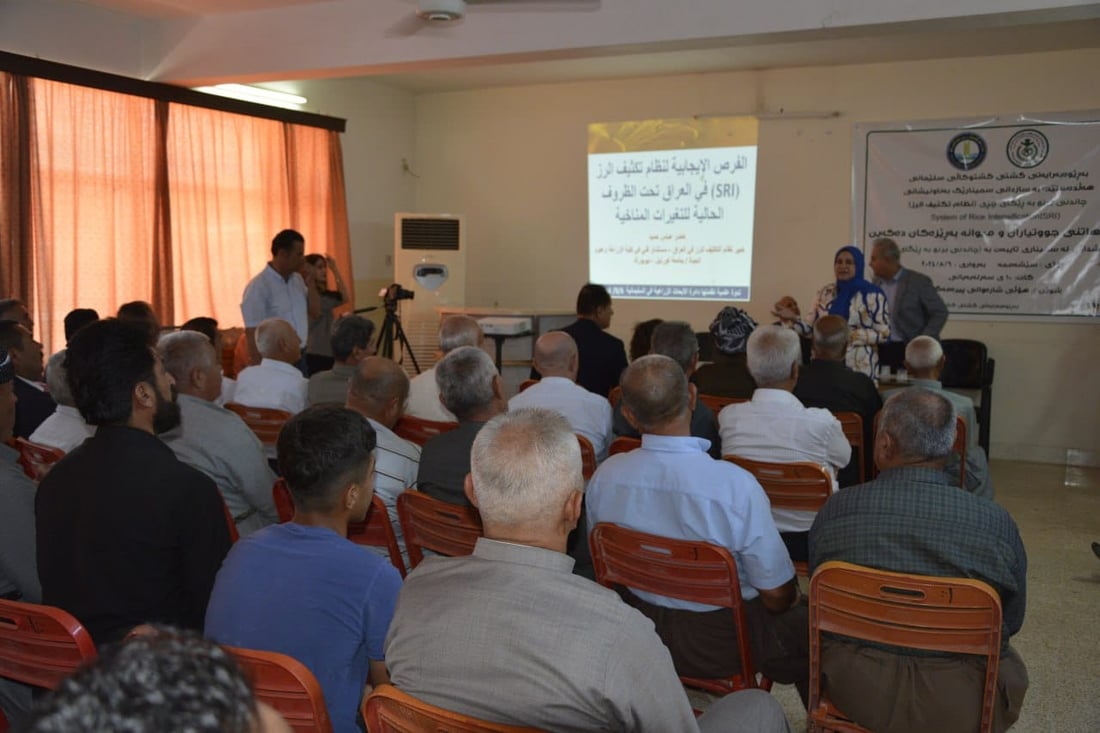 رێگەی چڕی فێری ئەو جوتیارانە کرا کە برنج دەچێنن