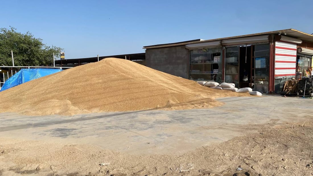 مكاتب الزراعة “حل وسط” لمزارعي أبو غريب بعيداً عن طوابير سايلو خان ضاري