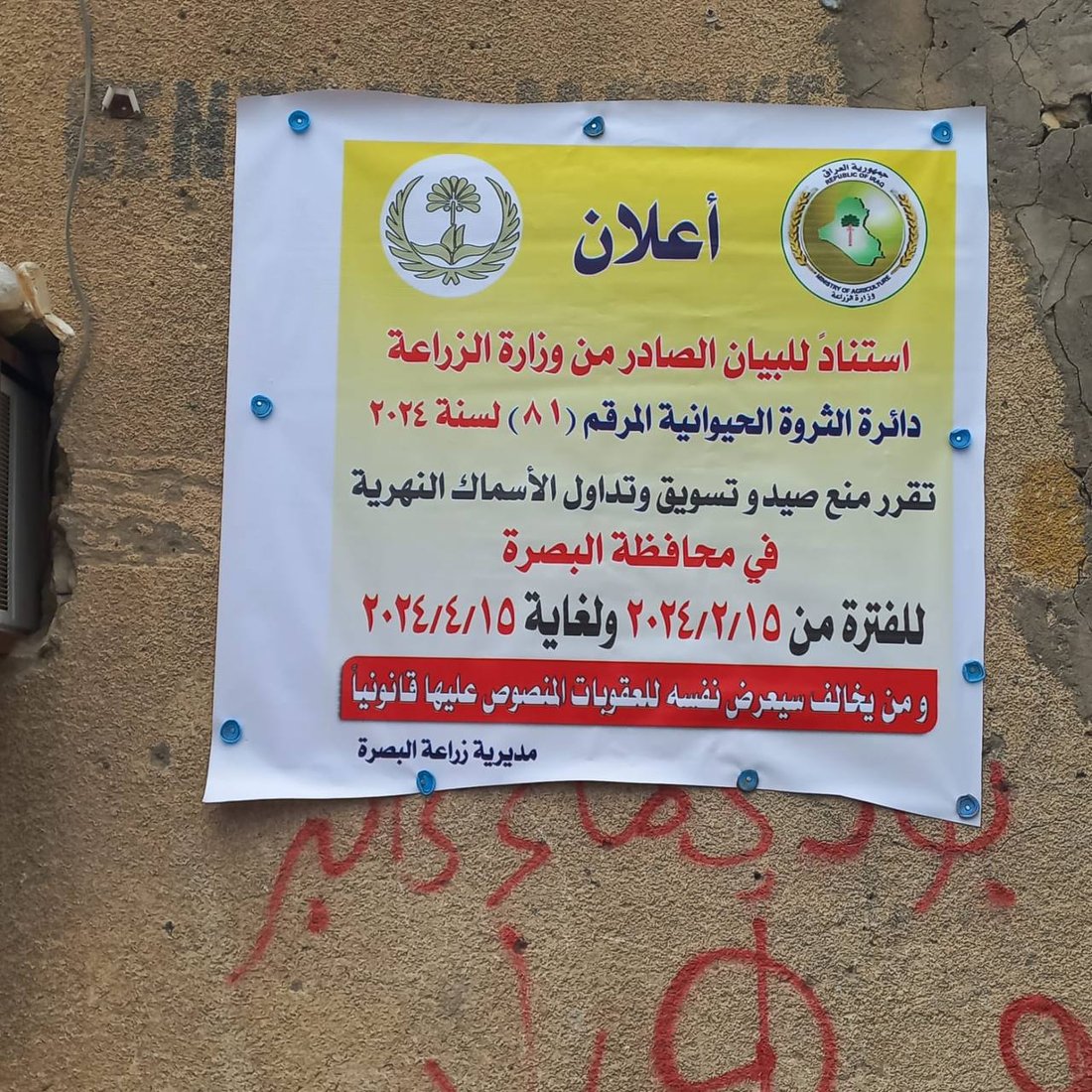 البصرة تمنع البني والشبوط 60 يوماً.. دعوها تتكاثر وسفن البحر تكفي حتى نيسان (صور)