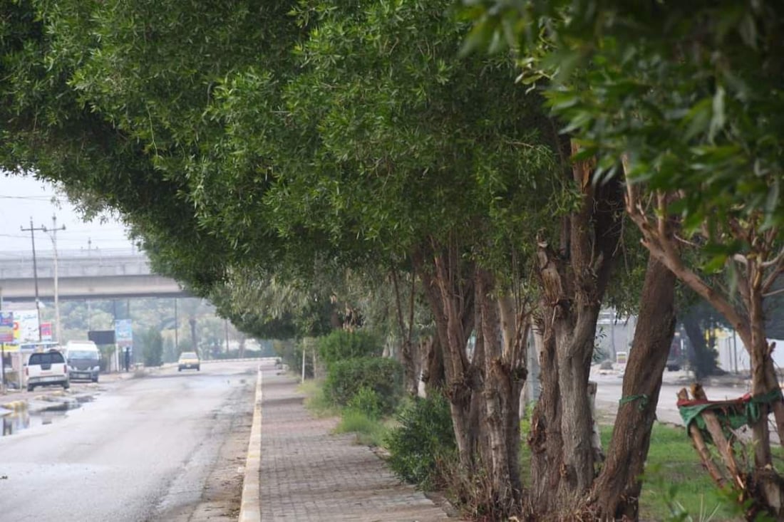 بلدية طويريج ترد على استفتاء 964: سنفتتح متنزهاً كبيراً ونطمح للغابات