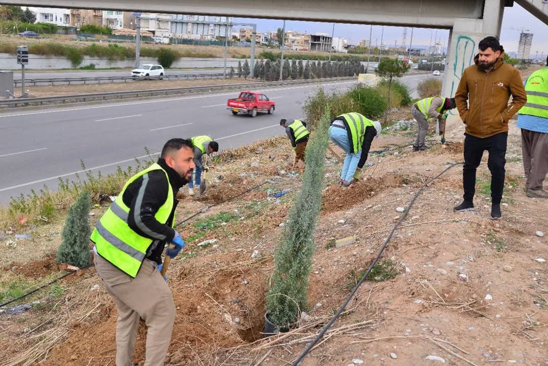 هەڵمەتێكی گەورەی دارچاندن لە هەولێر بەڕێوەیە