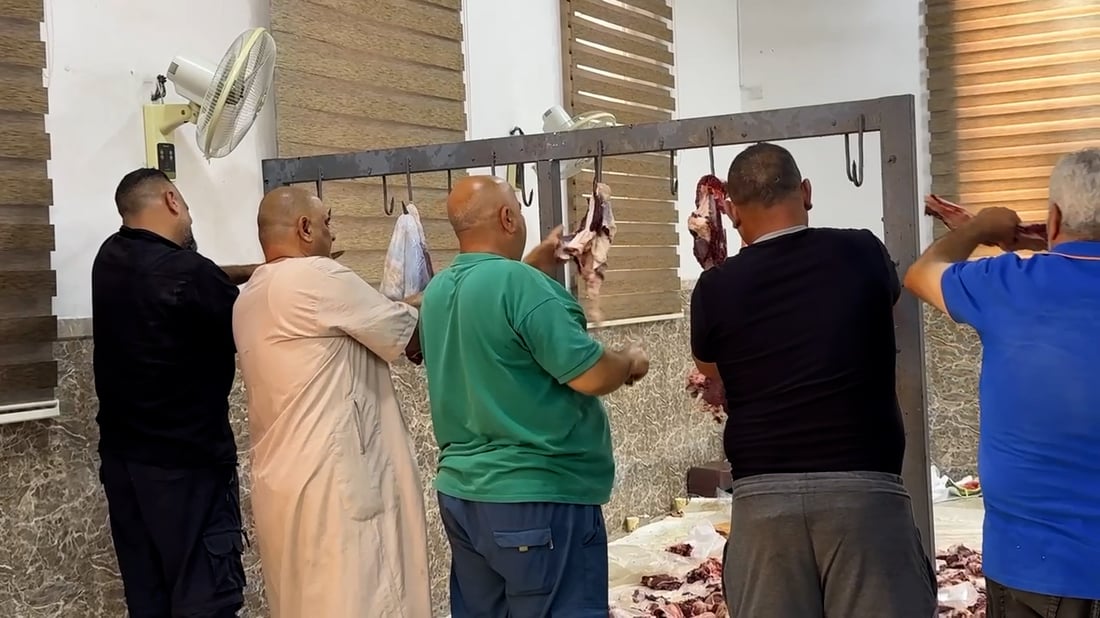 صور: 55 عجلاً و40 كبشاً لفقراء الموصل.. مساهمة المتبرعين صبيحة عيد الأضحى