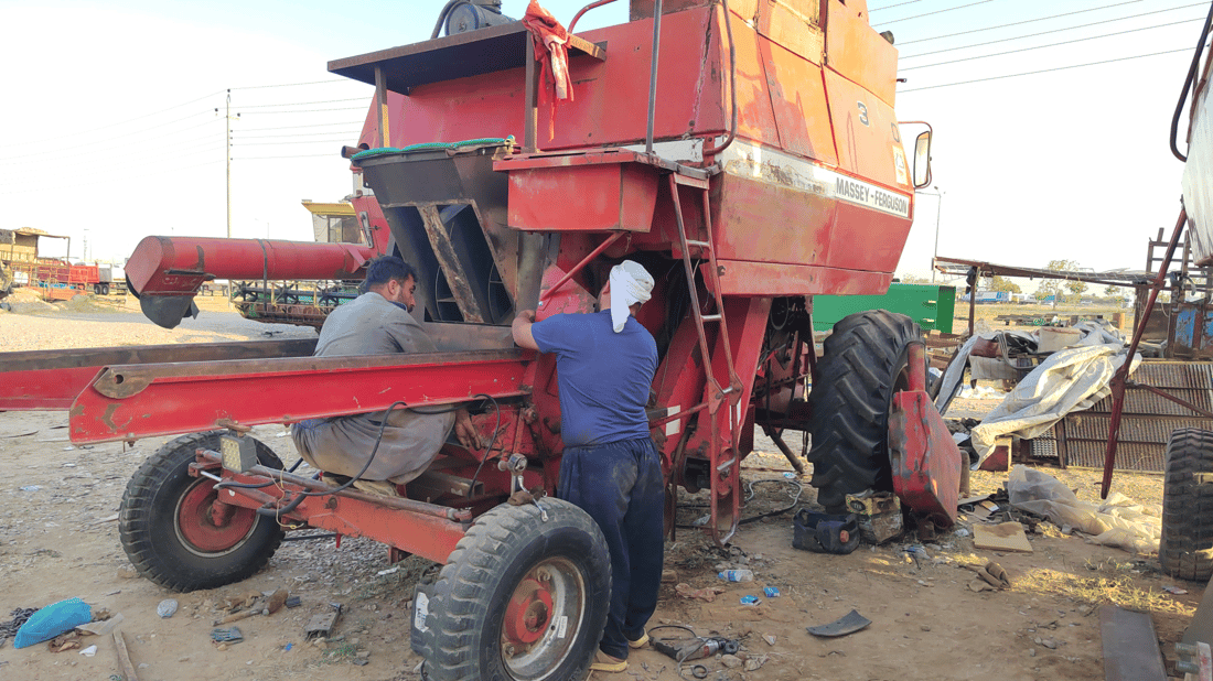 لە گەرمیان خاوەن دەڕاسەکان خۆیان بۆ دروێنە ئامادە دەکەن