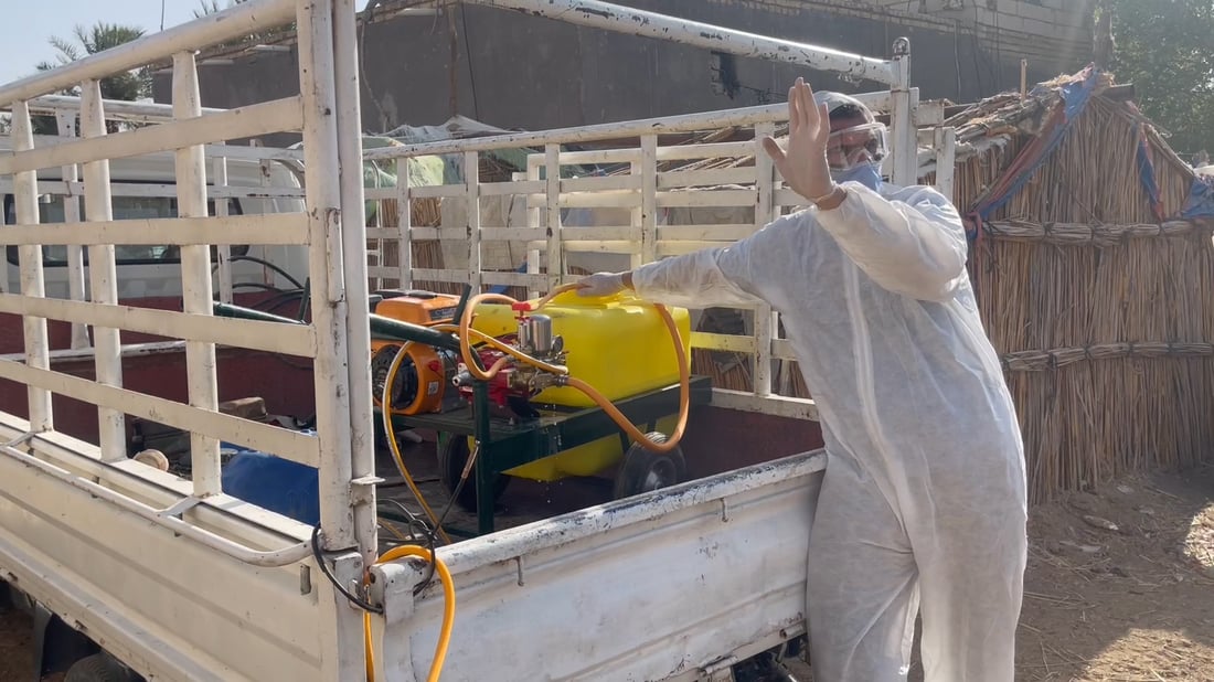 صور: علوة مواشي الناصرية معفّرة قبيل العيد لكن الجزارين قلقون من تسرب القرادة