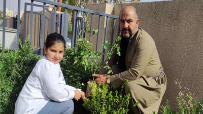 رۆزا نۆ نەمام بۆ نۆ ساڵەی تەمەنی دەڕوێنێت