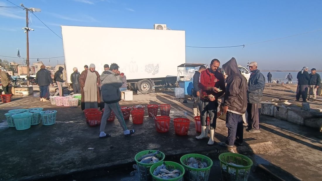 الحظ لم يحالف صيادي الفاو اليوم.. أجواء متقلبة والأسماك هربت من “الشرجي” (صور)