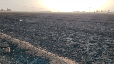 ئاگر کەوتەوە و 200 دۆنم گەنم و پەرێزى دوو ئامۆزا سووتا