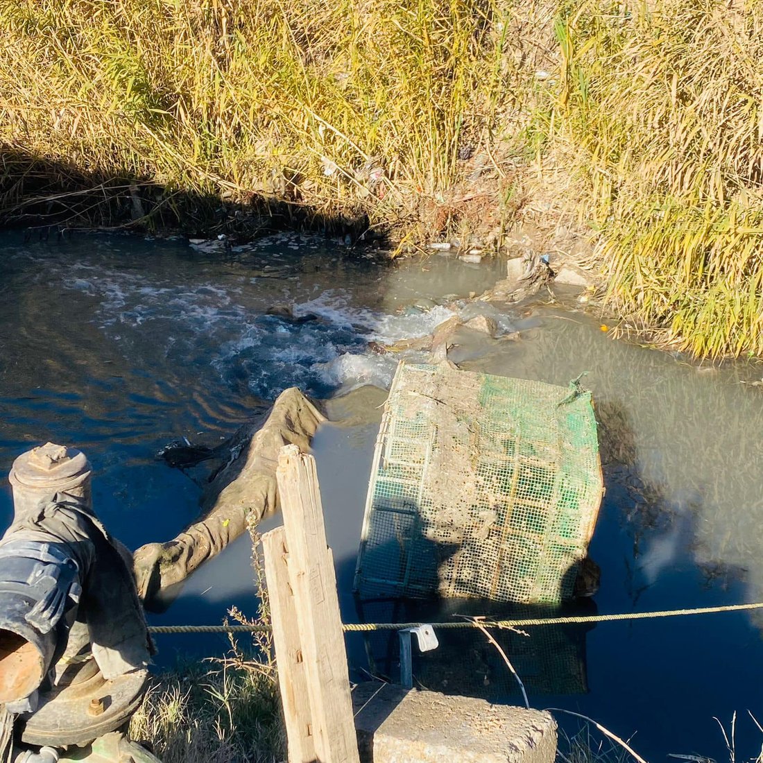 ئاوی زێرابیان بۆ ئاودانی سەوزە بەکاردەهێنا؛ زەوییەکانیان تێکدرا و خۆیشیان دەستبەسەر کران