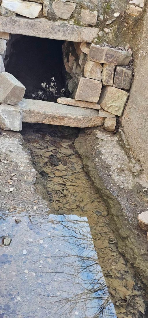 کانیاوە وەرزییەکانی پارکی هەواری شار بووژانەوە