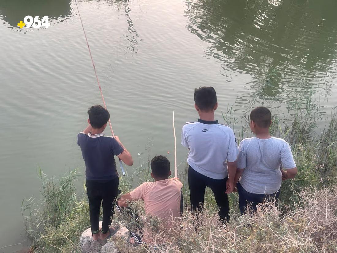 964mediaصورة من منصة (شبكة): 