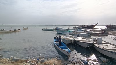 الصبور هرب من “البارح”.. أسماك أقلّ في مزاد الفاو والأسعار مستقرة (فيديو)