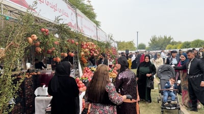 رمان حلبجة لا يقاوم.. لكن “سالاخاني” خطف الأنظار بحباته الكبيرة في مهرجان الخريف