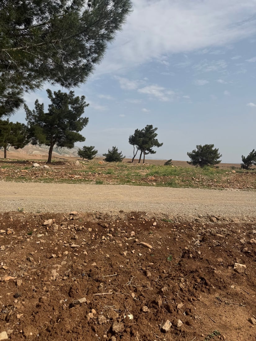 زەوییەکانی پاڵاسی کۆیە کێڵدراون و چیتر به‌كه‌ڵكی گەشت و سه‌یرانى هاوڵاتیان نه‌ماون