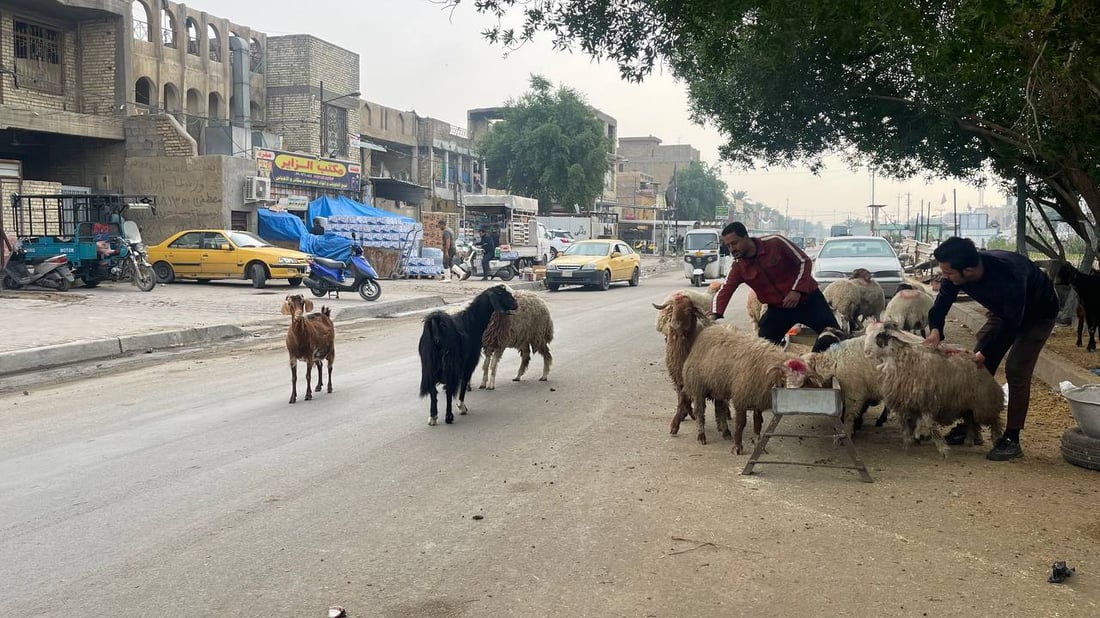 هذا ما يحدث قرب صورة الصدرين في “قطاع 18”.. وهناك من “يحميهم”! (صور)