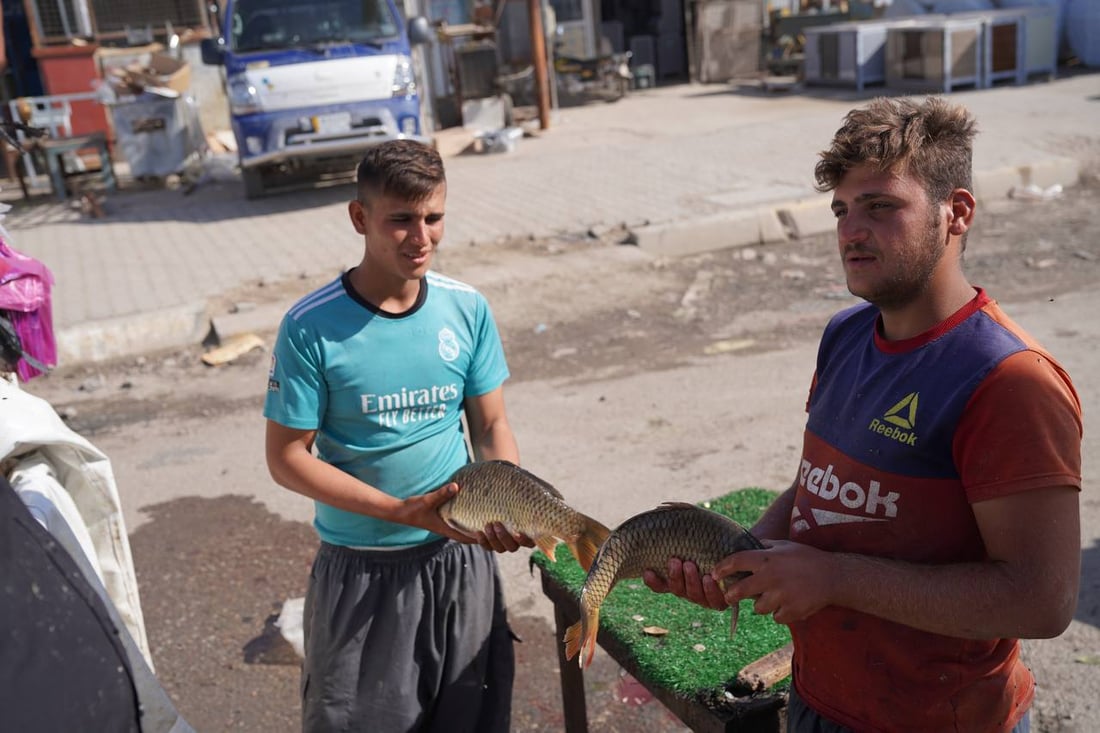 تحطيم أسعار بين باعة السمك والكيلو إلى 6 آلاف.. مدخل بعقوبة مزدحم بـ 50 سيارة