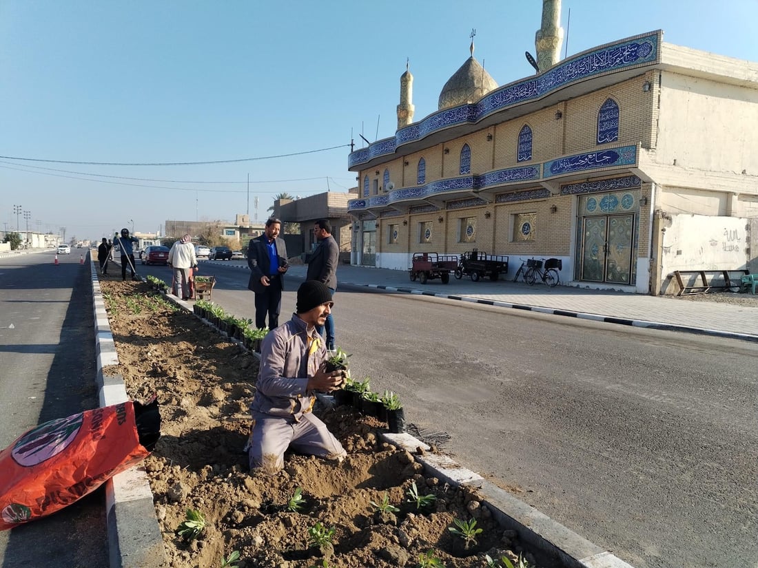 المشخاب تدعو أهلها للمشاركة في زراعة طريق القادسية.. أشجار أكاسيا بين الأقحوان