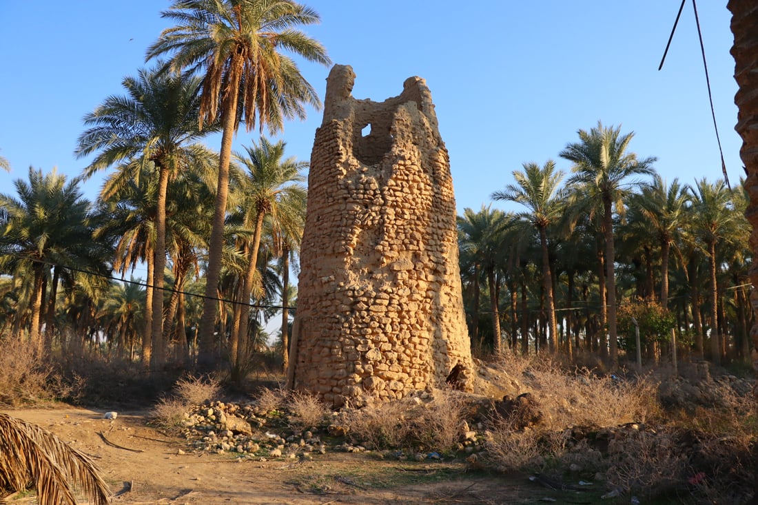 غابة نخيل في الأنبار تخفي برج مراقبة عثماني وقرية السادة رفضت تغيير اسمها (صور)