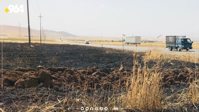 جگەرە بەڵایەک بۆ گەنمی سەر جادەکان