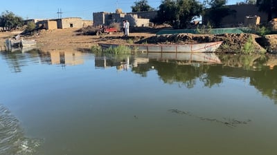 سحر الأهوار في ميسان.. فتاة “فصيحة” تشرح أسرار “خبز الطابك” و”الغميضة” (فيديو)