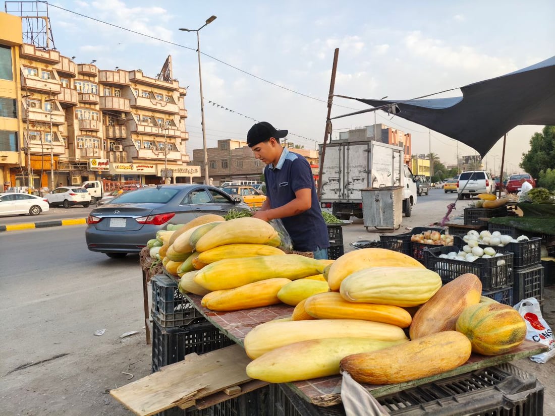 صور: هذا ليس بطيخاً ولا “عطروزي”.. سوق الحلة يحتفل بـ”السابوري” أو “خيار الماء”