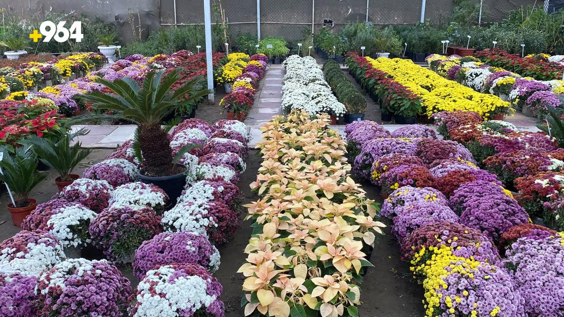 [PHOTOS] Nasiriyah flower exhibition encourages locals to pick up gardening