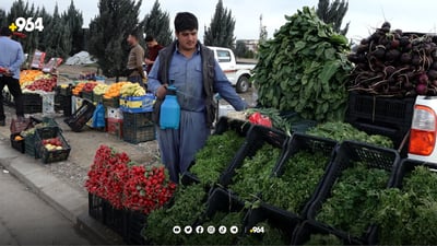 کێشەی کاسبکارانی سەوزە و میوەی مەخمور چارەسەرکرا