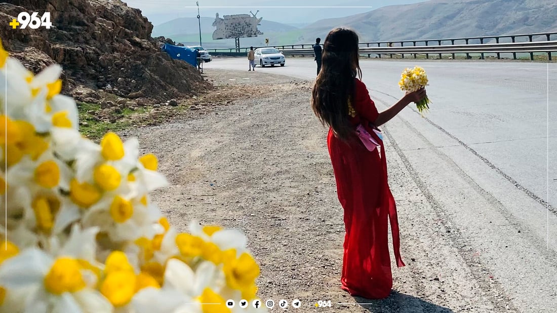 منداڵە نێرگز فرۆشەکانی لۆفەی سپیلک