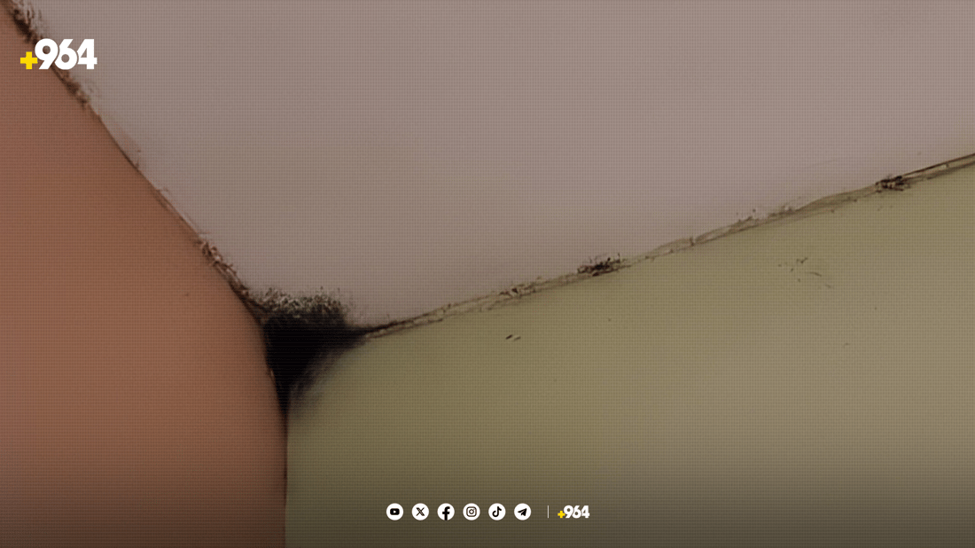 بەم سەرمایە مێرووی باڵدار واز لە دوزخورماتوو ناهێنێت