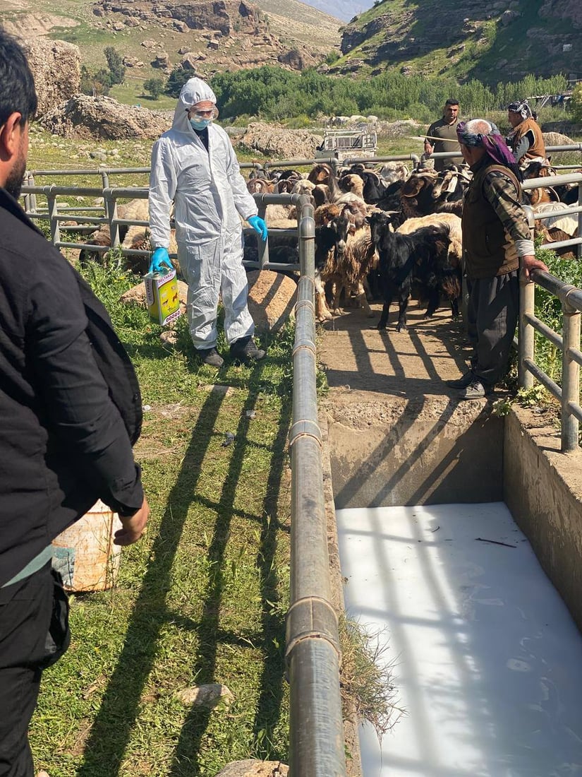 ئیداره‌ى راپه‌ڕین هه‌ڵمه‌تێكی فراوانى خۆپارێزى له‌ په‌تاى خوێنبه‌ربوون ده‌ستپێكرد