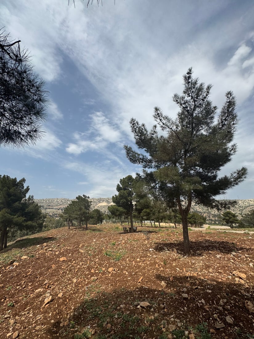 زەوییەکانی پاڵاسی کۆیە کێڵدراون و چیتر به‌كه‌ڵكی گەشت و سه‌یرانى هاوڵاتیان نه‌ماون