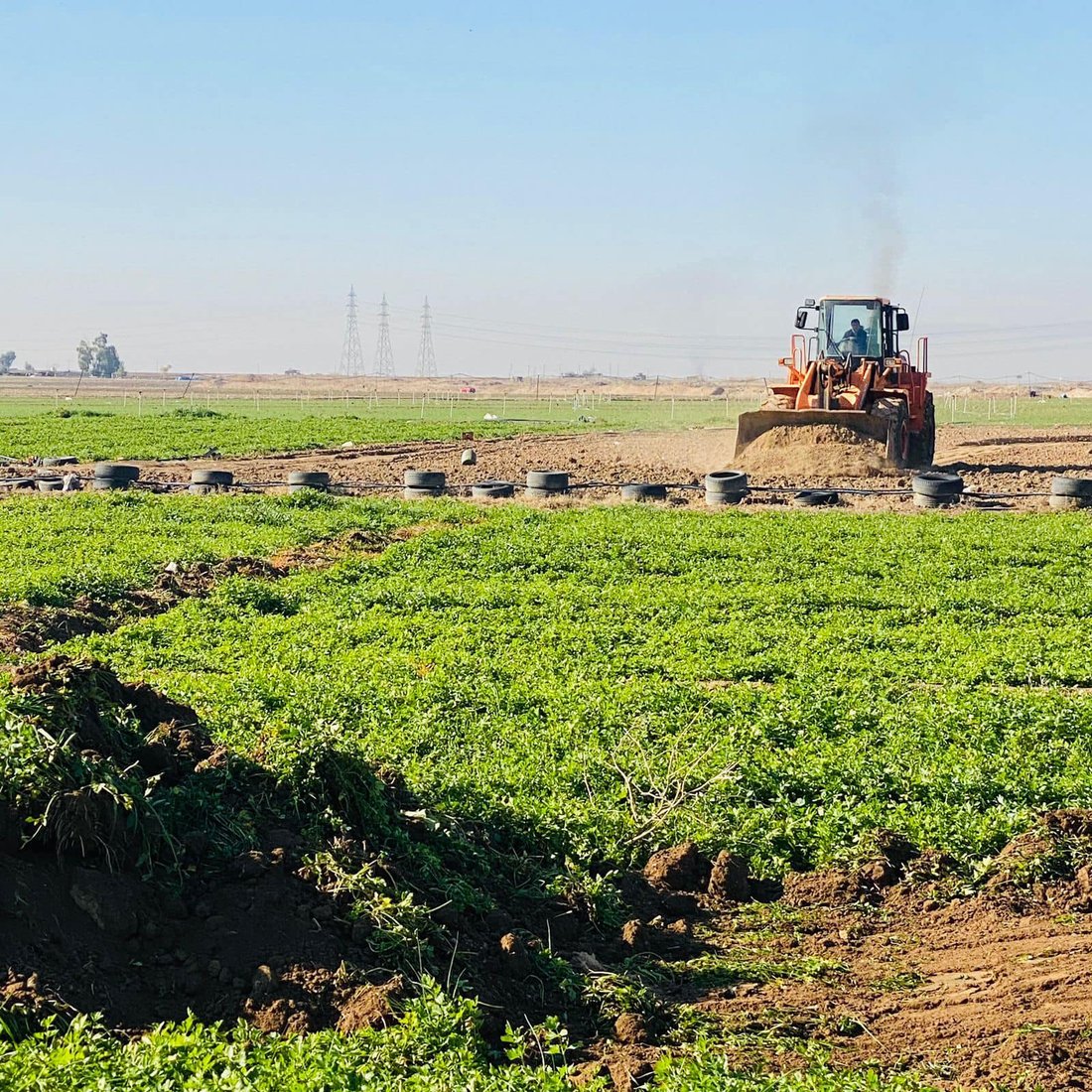 ئاوی زێرابیان بۆ ئاودانی سەوزە بەکاردەهێنا؛ زەوییەکانیان تێکدرا و خۆیشیان دەستبەسەر کران