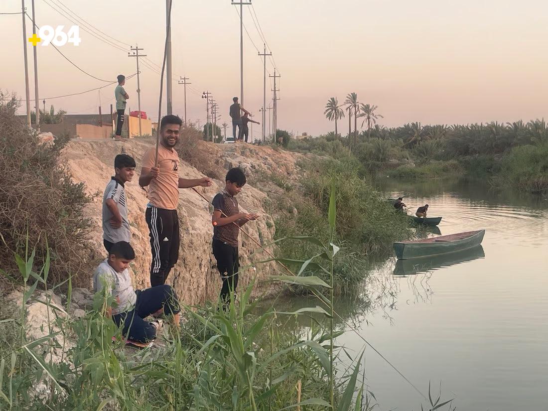 964mediaصورة من منصة (شبكة): 