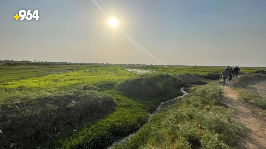 964mediaصورة من منصة (شبكة): 