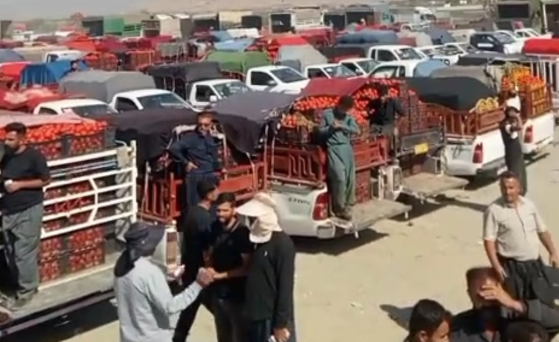 Tomatoes left unpicked in Soran as Penjwen growers block road over prices