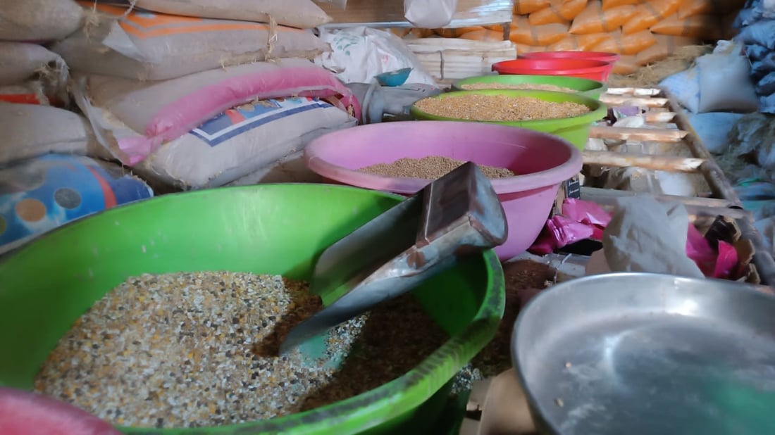 أعلاف البصرة من الكوت وزاخو و”المطيرجية” يحركون السوق.. أسعار أبو الخصيب اليوم