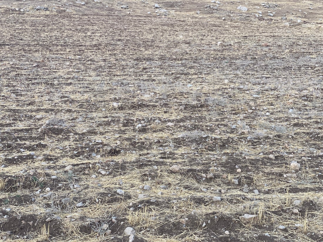 ئەمڕۆ هەقە پەڵەیە؛ بەڵام هێشتا باران نەباریوە