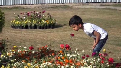 لقطات من المحاويل.. عروض كوميدية ومرسم للأطفال خلال افتتاح متنزه جديد