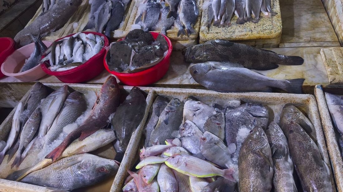 10 أطنان من الضلعة العملاقة.. أمطار وصيد وفير في بحر العراق (صور)