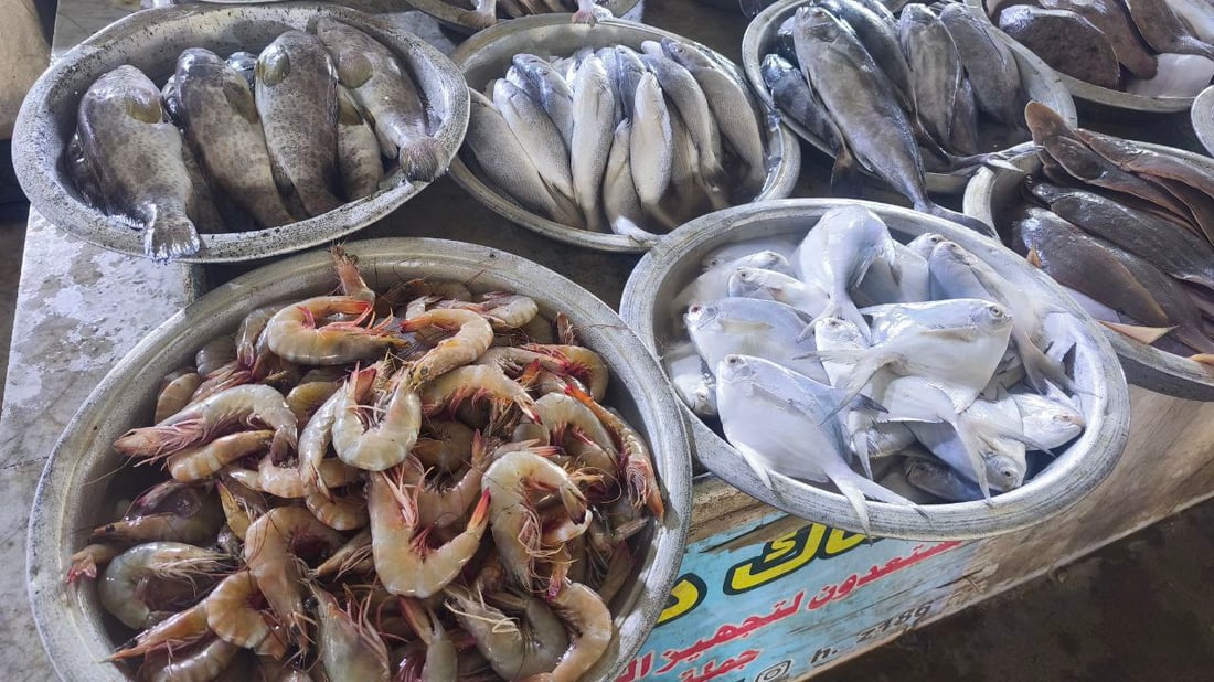 المحافظات تتوافد إلى سوق النقعة والسمك يصل بالأطنان (صور)