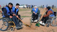 بغداد وأربيل مع الـ UN في حملة كبرى لتخضير العراق.. 5 ملاي...