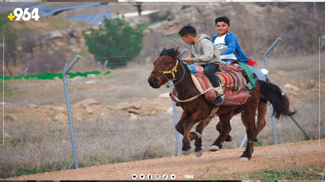 دهۆک یانەی ئەسپسواریی تێدا نییە