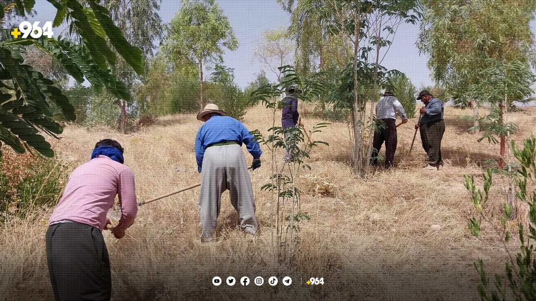 کرێکارانی دارستان و پاوان داوای موچە نەدراوەکانیان دەکەن