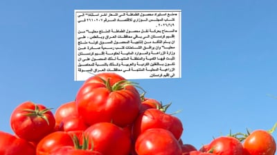 جوتیارانی هەرێم دەتوانن بەرهەمی تەماتەیان بنێرنە پارێزگاکانی عێراق