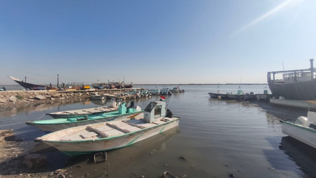 5 أطنان روبيان و3 هامور تنعش مزاد الفاو صباح اليوم.. والصيادون يتحدون “البوارح”