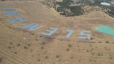 رووەکى شەکرۆکە؛ چارەسەرى شێرپەنجە