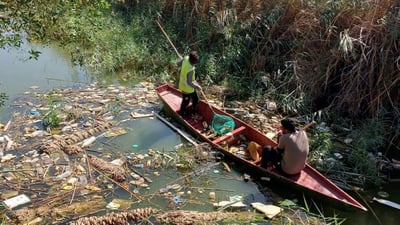 صور: شباب البلدية بين حشائش نهر الهوير لاستخراج النفايات