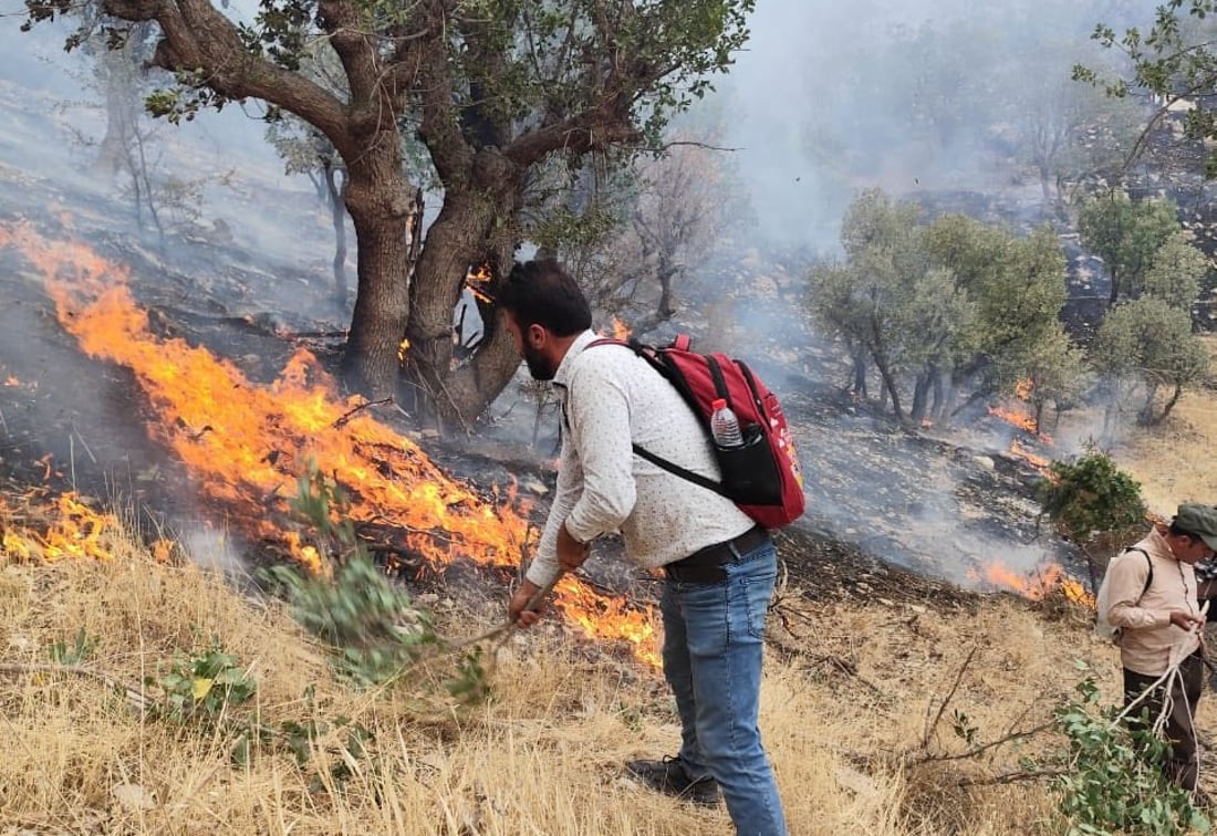ئاگرەکەی شەقڵاوە 70 دۆنم باخ و پوش و پاوانی سوتاند