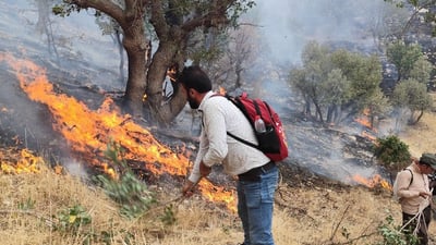 ئاگرەکەی شەقڵاوە 70 دۆنم باخ و پوش و پاوانی سوتاند